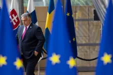 Hungarian economy in horse-drawn carriage while others driving in cars